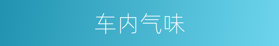 车内气味的同义词