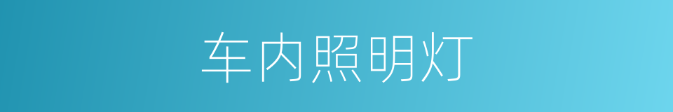 车内照明灯的同义词