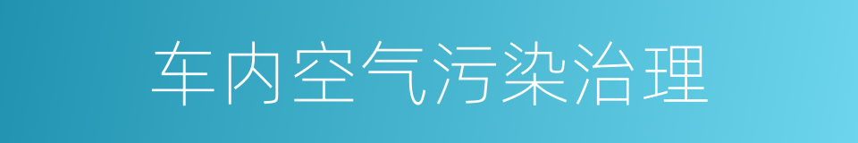 车内空气污染治理的同义词