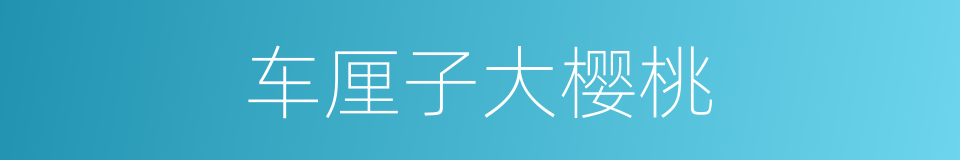 车厘子大樱桃的同义词