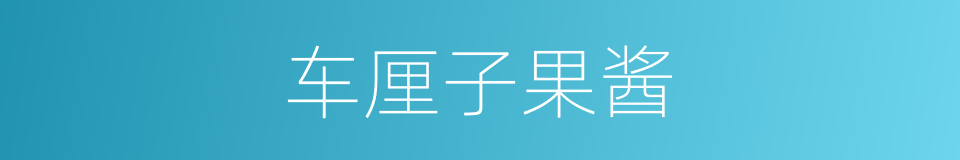 车厘子果酱的同义词