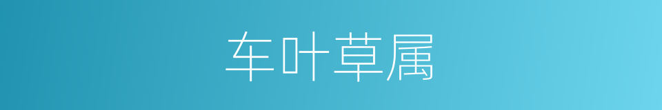 车叶草属的同义词