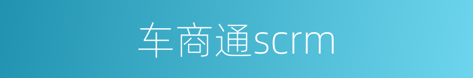 车商通scrm的同义词