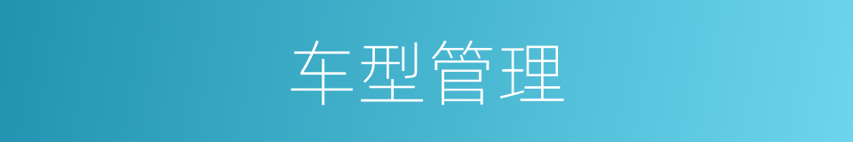 车型管理的同义词