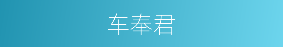 车奉君的同义词