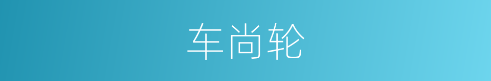 车尚轮的同义词