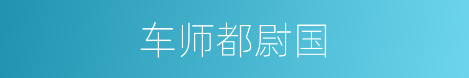车师都尉国的同义词