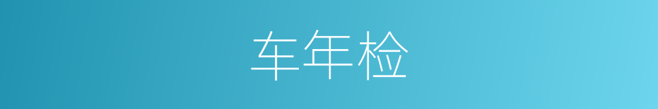 车年检的同义词