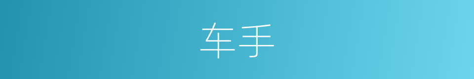 车手的意思