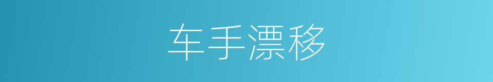 车手漂移的同义词