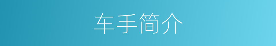 车手简介的同义词