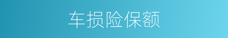 车损险保额的同义词