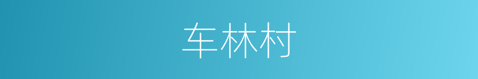 车林村的同义词