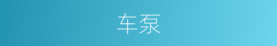 车泵的同义词