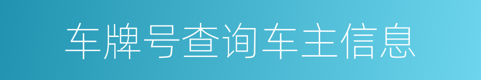 车牌号查询车主信息的同义词