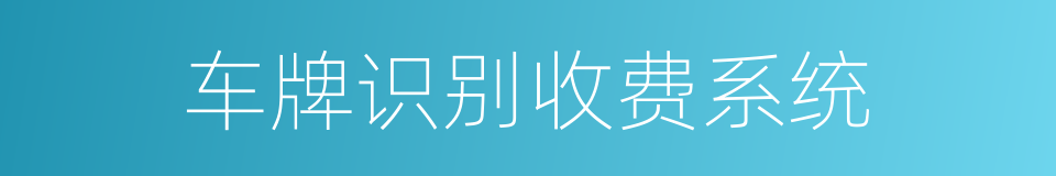 车牌识别收费系统的同义词