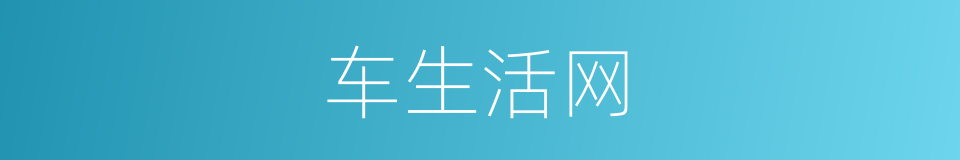 车生活网的同义词
