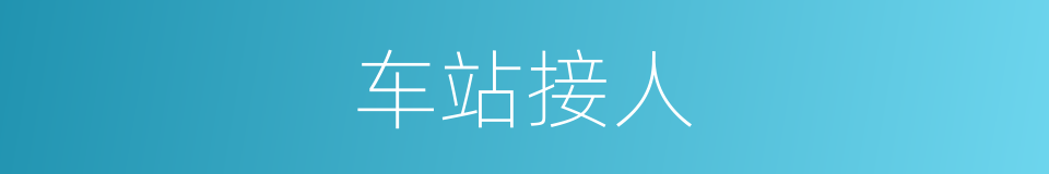 车站接人的同义词