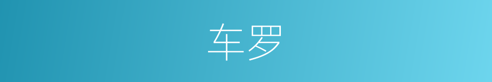 车罗的同义词