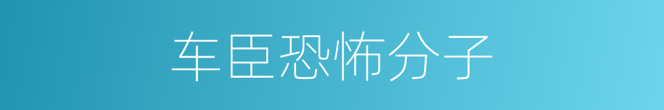 车臣恐怖分子的同义词