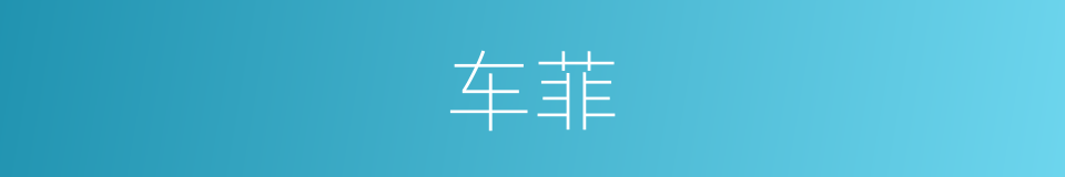 车菲的同义词