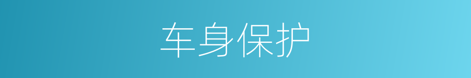 车身保护的同义词
