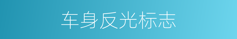 车身反光标志的同义词