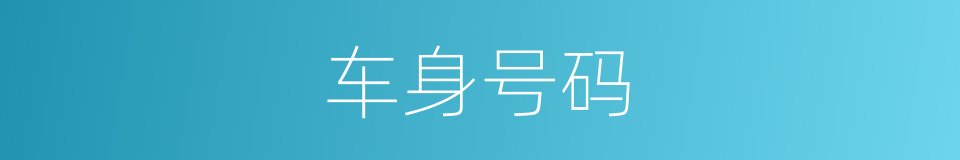 车身号码的同义词