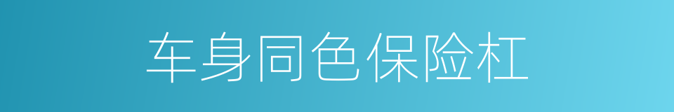 车身同色保险杠的同义词