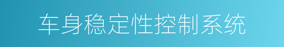 车身稳定性控制系统的同义词