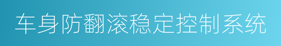 车身防翻滚稳定控制系统的同义词