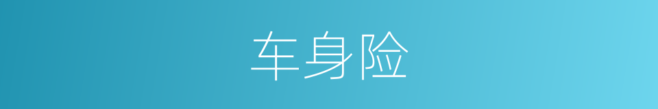 车身险的同义词