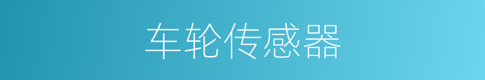车轮传感器的同义词
