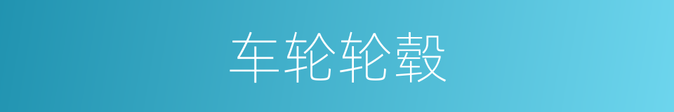 车轮轮毂的同义词