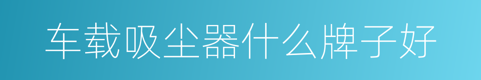 车载吸尘器什么牌子好的同义词