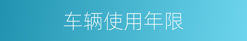 车辆使用年限的同义词