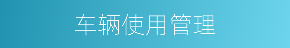 车辆使用管理的同义词