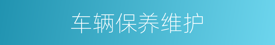 车辆保养维护的同义词