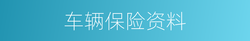 车辆保险资料的同义词