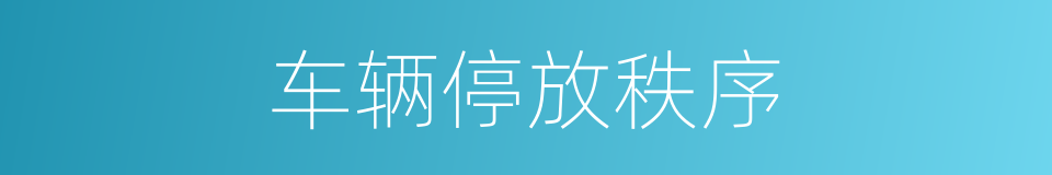 车辆停放秩序的同义词