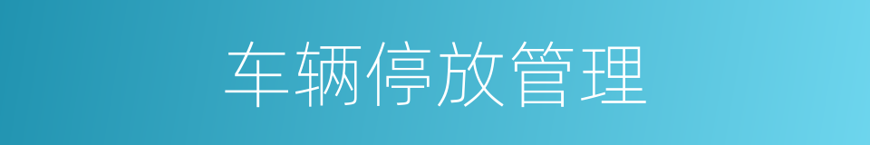 车辆停放管理的同义词