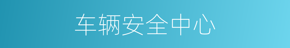 车辆安全中心的同义词