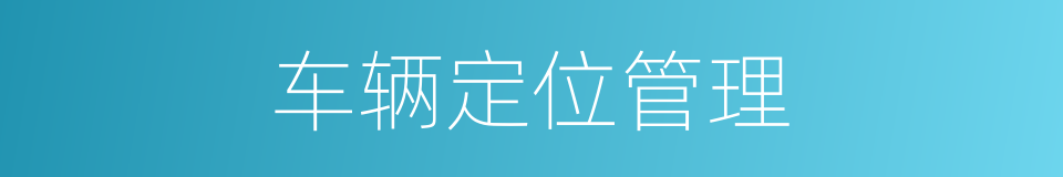 车辆定位管理的同义词