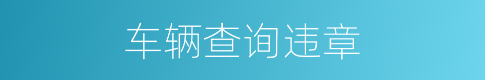 车辆查询违章的同义词