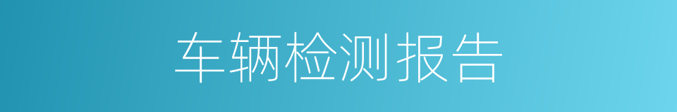 车辆检测报告的同义词