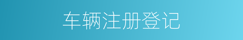 车辆注册登记的同义词