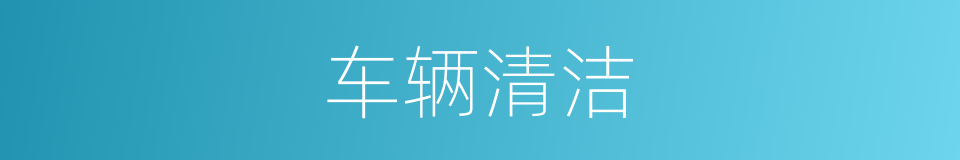 车辆清洁的意思
