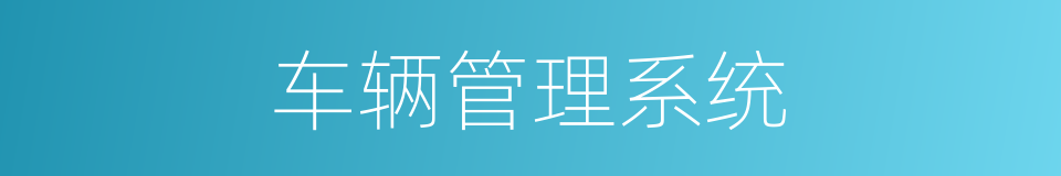 车辆管理系统的同义词