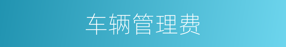 车辆管理费的同义词