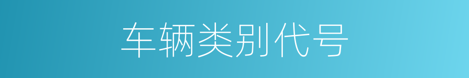 车辆类别代号的同义词
